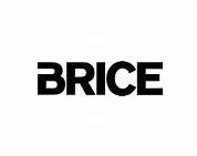 Image result for Brice SVG