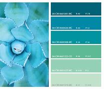 Image result for Most Popular Green Paint Colors
