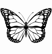 Image result for Butterfly Stencil