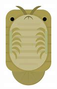Image result for Isopod iPod Meme