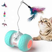 Image result for Cat Toys On White Background
