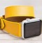 Image result for Leather Apple Watch Case