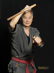 Image result for Martial Art You Can Use with Weapon