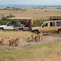 Image result for Serengeti Tanzania Africa