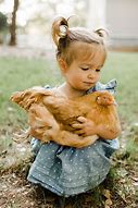 Image result for Babies Holding Chicken