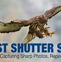 Image result for Fast Shutter Speed Photography