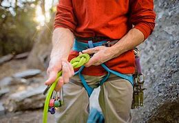 Image result for Tree Climbing Harness