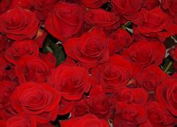 Image result for Red Rose iPhone Case
