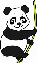 Image result for Giant Panda Full Body