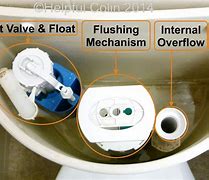Image result for Dual Flush Button