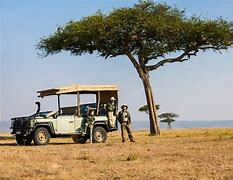 Image result for African Safari South Africa