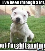 Image result for Smile in Your Face Meme