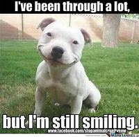 Image result for Smile Pretty Meme