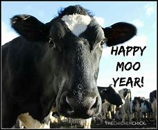 Image result for Happy New Year Cow