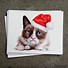 Image result for Grumpy Cat Christmas Cards