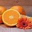 Image result for Orange Fruit On Green Grass Aesthetic