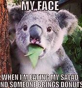 Image result for Animals at Lunch Funny Pic