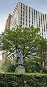 Image result for Waseda University New Campus
