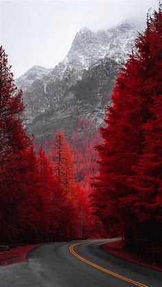 Download wallpaper 2160x3840 road, turn, trees, red, mountain, landscape samsung galaxy s4, s5, note, sony xperia z, z1, z2, z3, htc one, lenovo vibe hd background