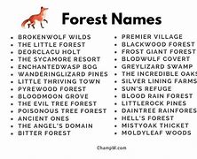 Image result for Mystical Forest Names