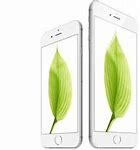 Image result for Images Taken with iPhone 6
