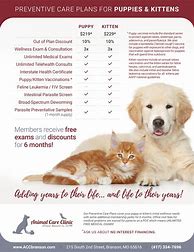 Image result for Kittens and Puppies Pic for a Flyer