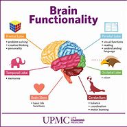 Image result for Brain Function Map