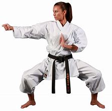 Image result for Karate Outfit