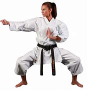Image result for GI Karate Uniform