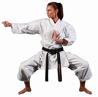 Image result for Karate Kata GI