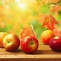 Image result for Fall Season Fruits