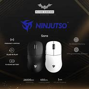 Image result for Ninjutsu Mouse