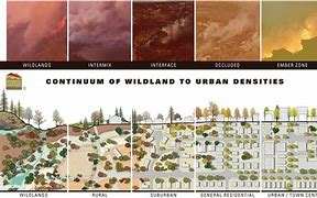 Image result for Wildland Urban Interface Example