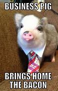 Image result for Pig Meme at Doorbell Ring