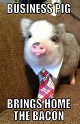 Image result for Small Pig Meme