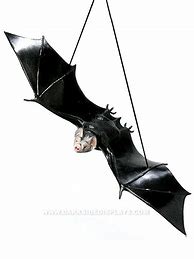 Image result for Giant Rubber Bat