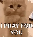 Image result for Animated Cat Praying