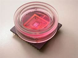 Image result for Cellular Chip