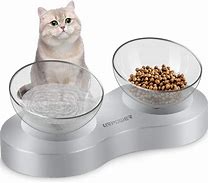 Image result for Kitten Food Bowl