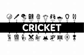 Image result for Wide Shot of Cricket Game