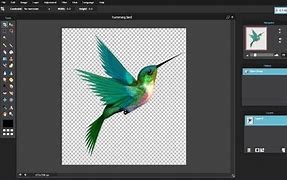 Image result for Picture Editing Designs