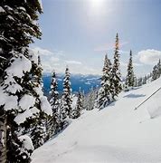 Image result for Mountain Skiing