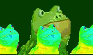 Image result for Real Frog Memes