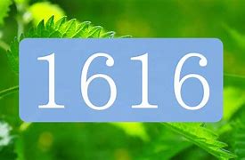 Image result for 1616 Phone Number