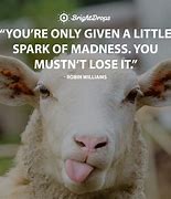 Image result for Funny Sayings