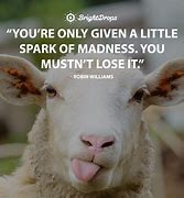 Image result for Funny Inspirational Quotes with Animals