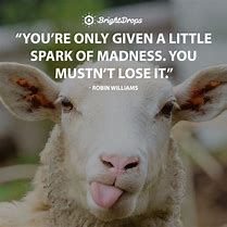 Image result for Funny Quotes to Think About