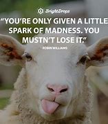 Image result for Inspirational Quotes Humor