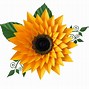 Image result for Paper Flower Patterns