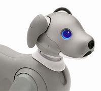 Image result for Black Aibo